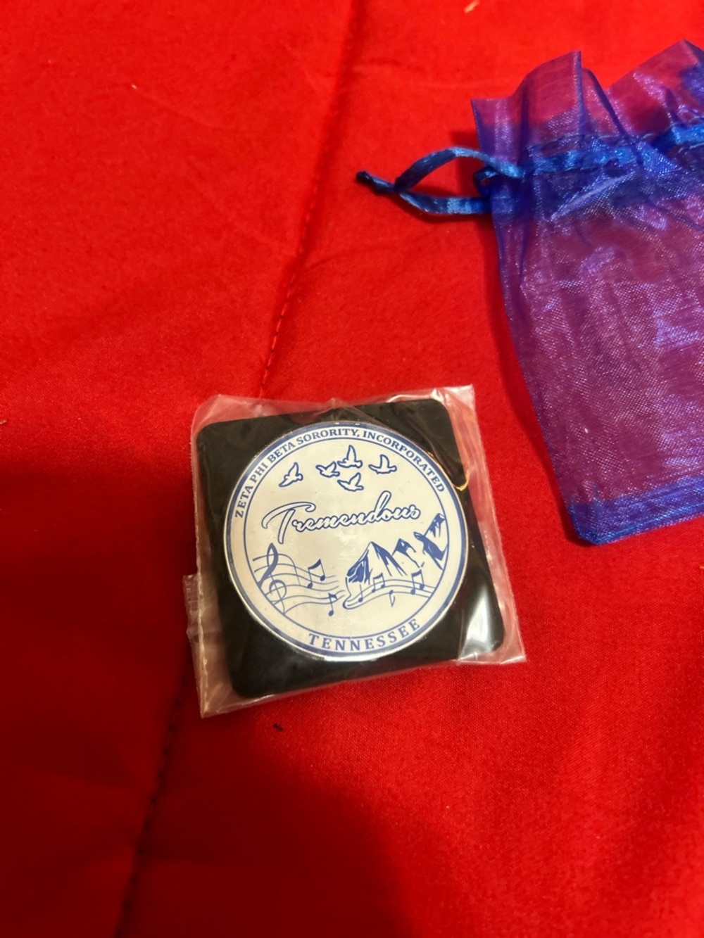 Zeta Phi Beta Tremendous Tennessee Pin - Blue & White
